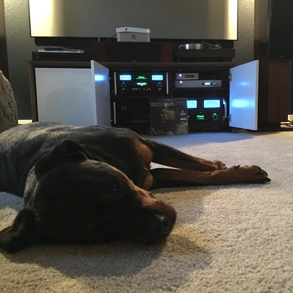 @toddcc1 and his dog are having an easy time relaxing to some Miles Davis!